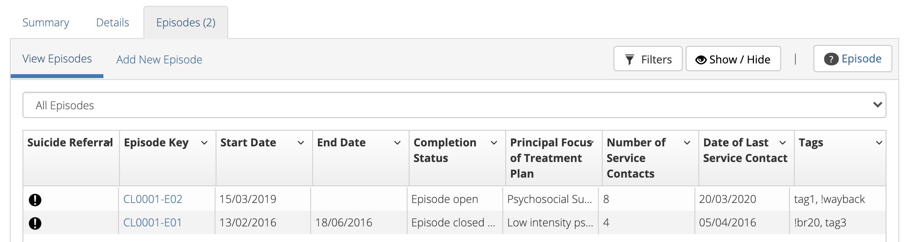 Client Data Summary View